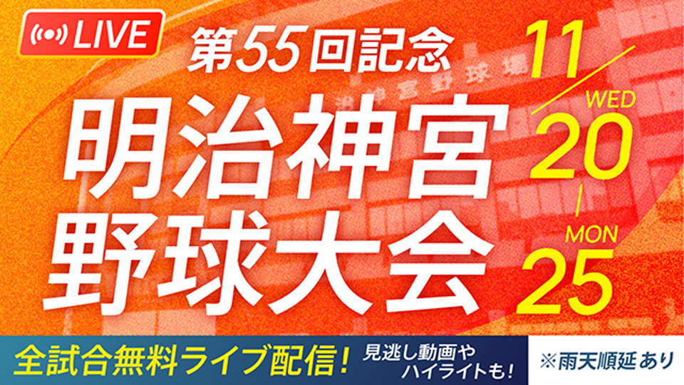 バーチャル ストア 高校 野球 ハイ ライト